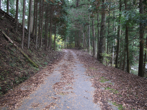 20141108hike (46)